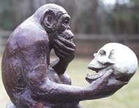 ape_contemplate_skull.jpg