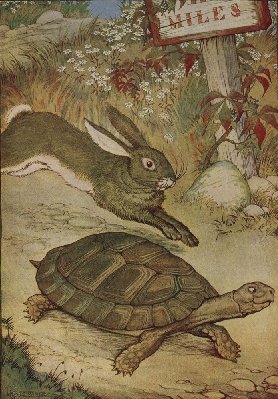 tortoise-and-hare.jpg