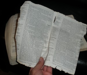 Bible_2