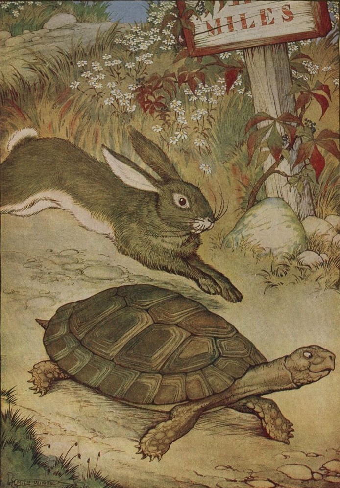 tortoise-and-hare1